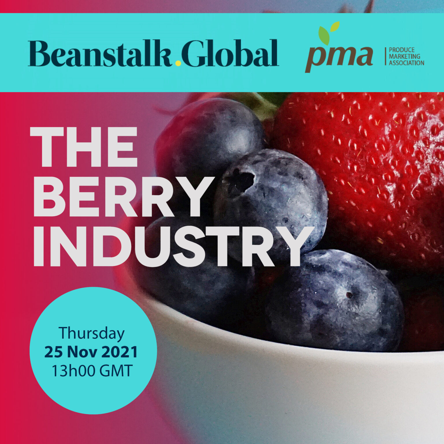 beanstalk-global-the-pma-in-south-africa-the-berry-industry